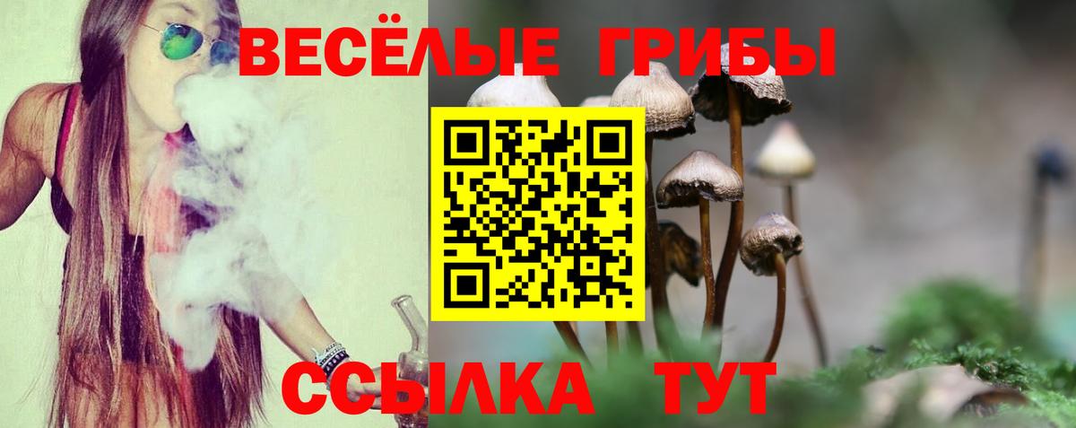 Псилоцибиновые грибы прущие грибы  Вход с VPN  купить наркотики сайты  Томск 